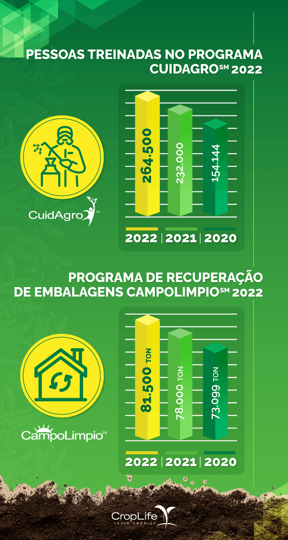 infografia informe 2022