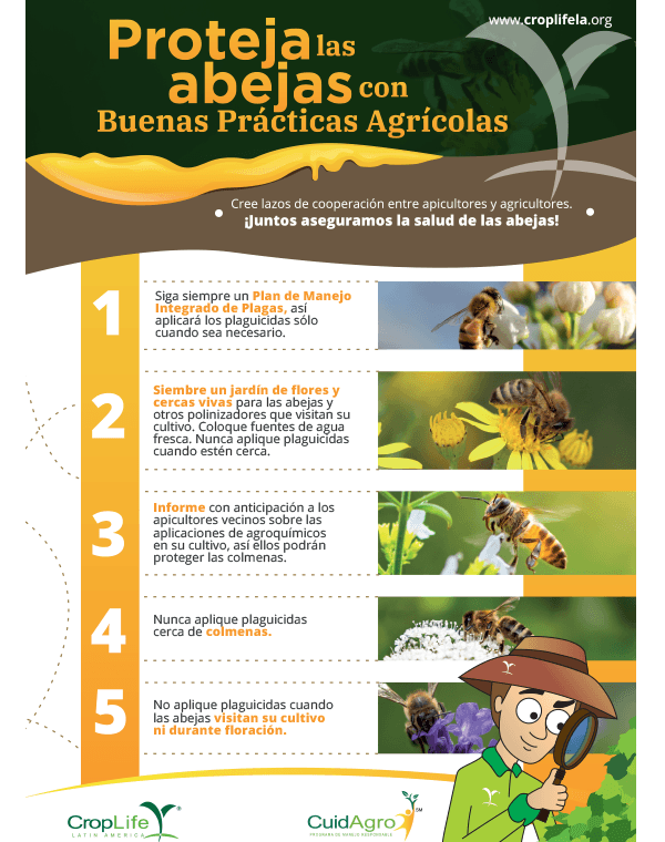 Comercio ilegal Infografías