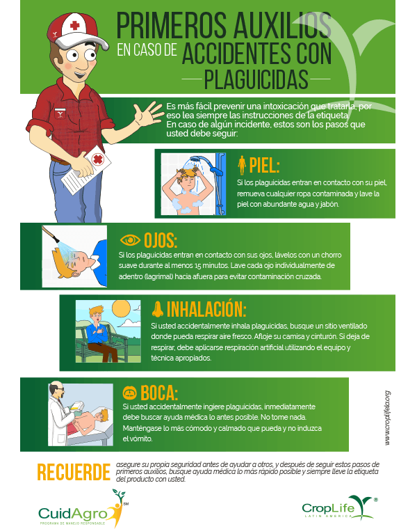 Infografia ejemplo No 1