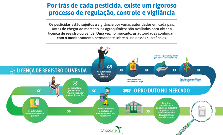 Comercio ilegal Infografías