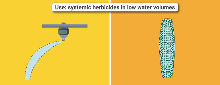 SYSTEMIC HERBICIDES