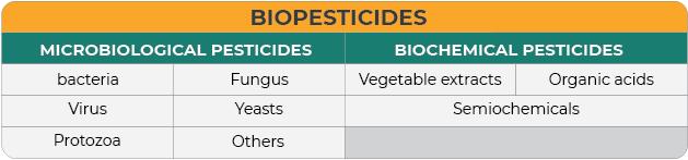 Img Classes of Biopesticides