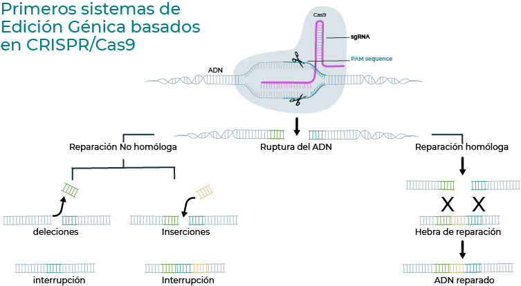 gtrafico crispr 2