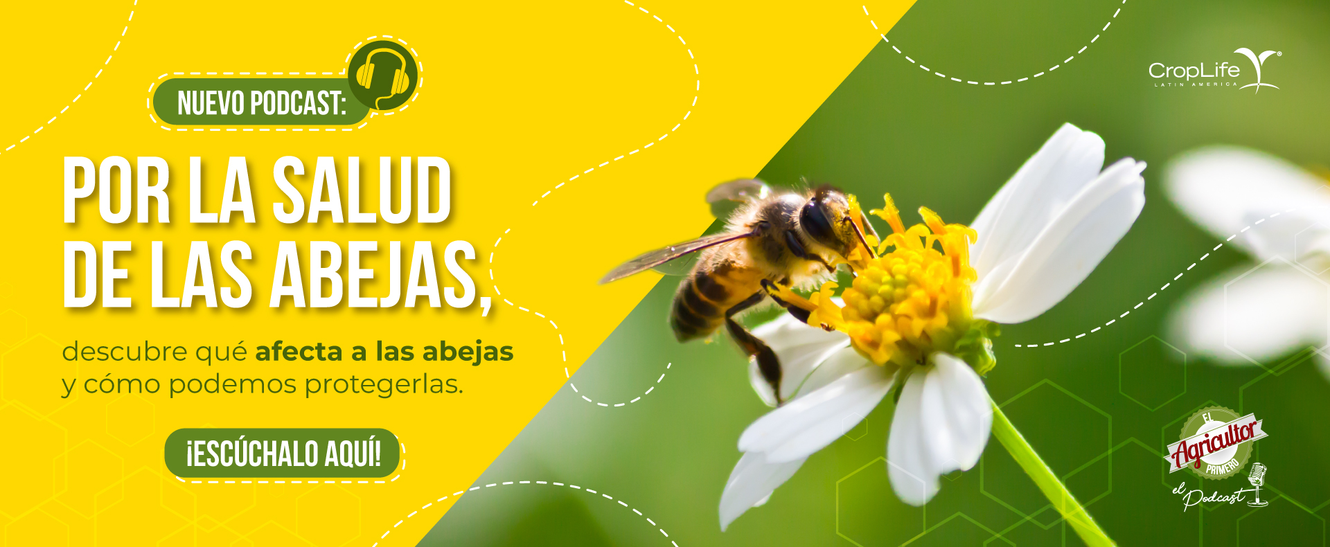 Por la salud de las abejas