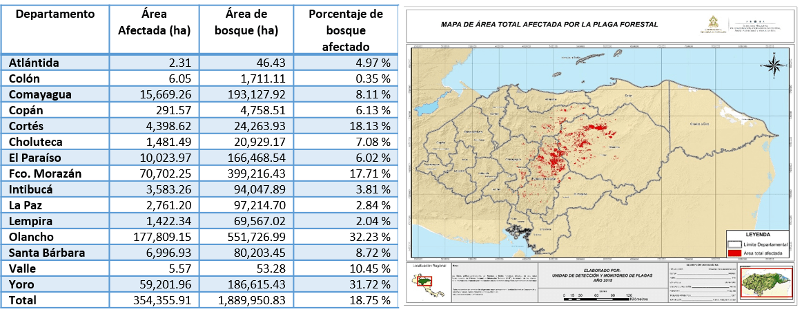 Áreas afectadas por gorgojo de los pinos