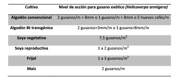 Información Insecticidas contra el Gusano Exótico