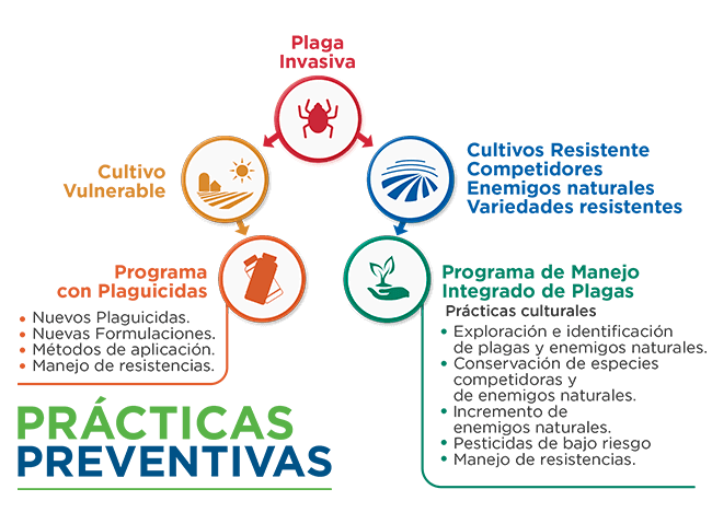 Practicas preventivas protección de cultivos