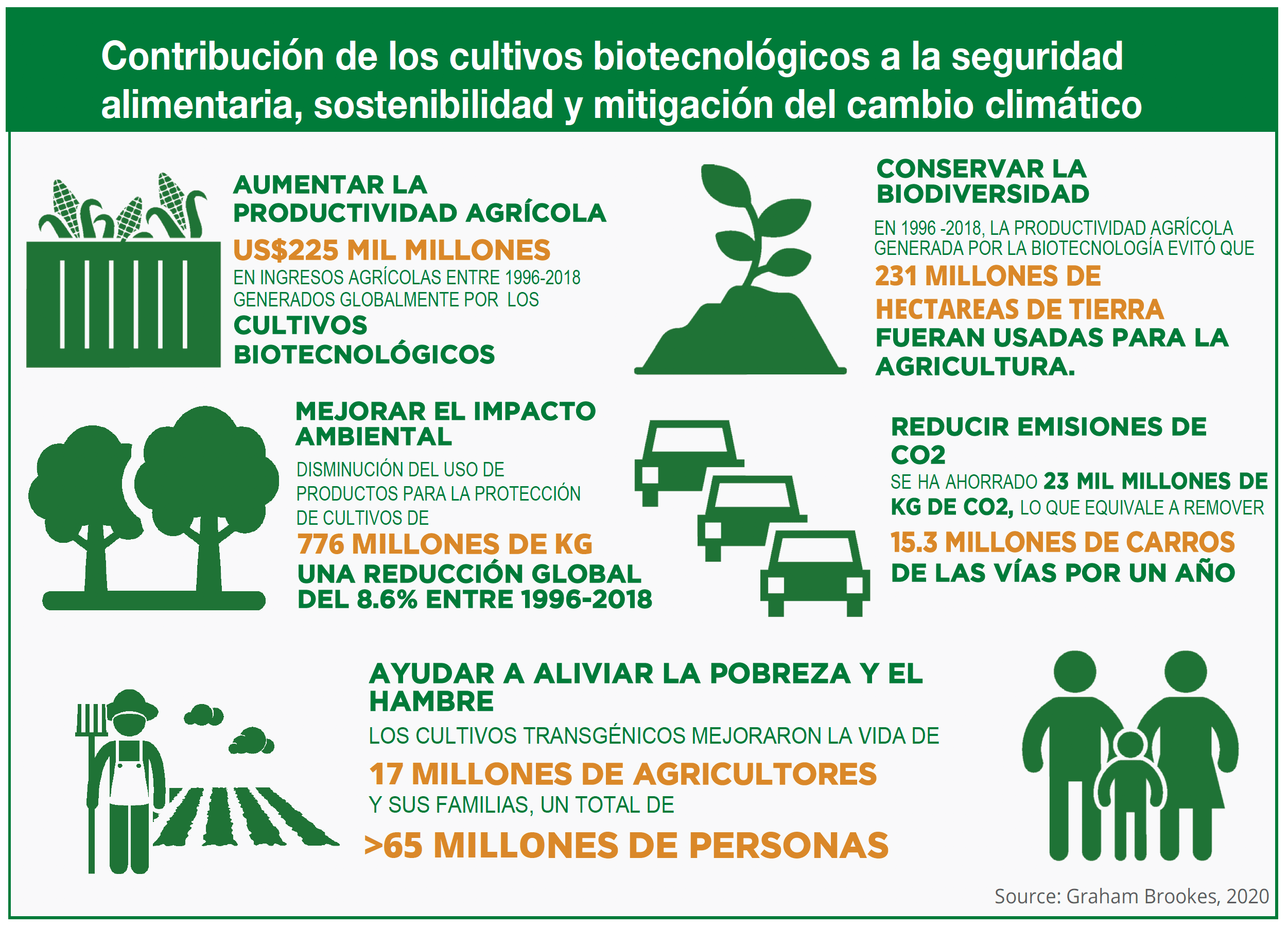 Beneficios Transgenicos