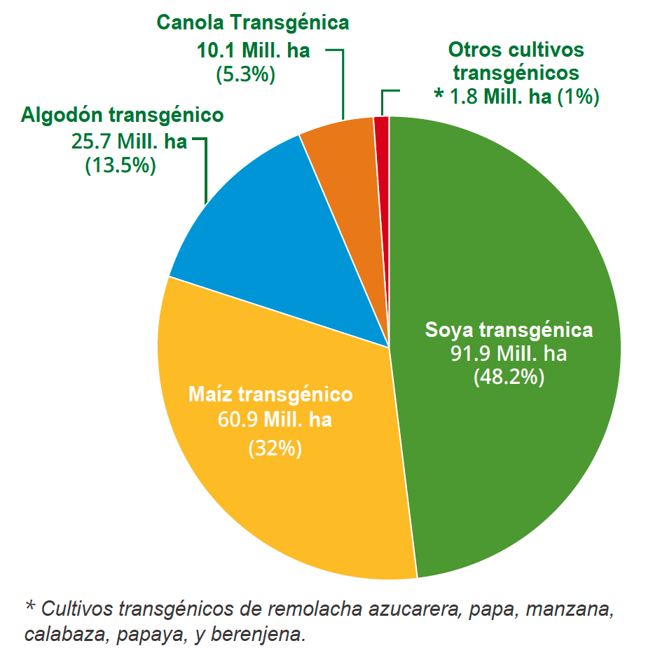 Cultivos Transgenicos