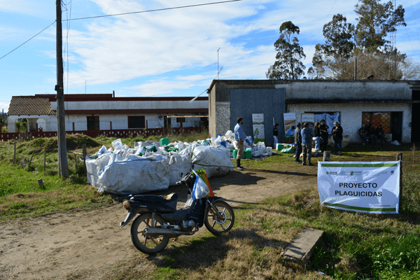 JornadaRecoleccionCanelonesUY1