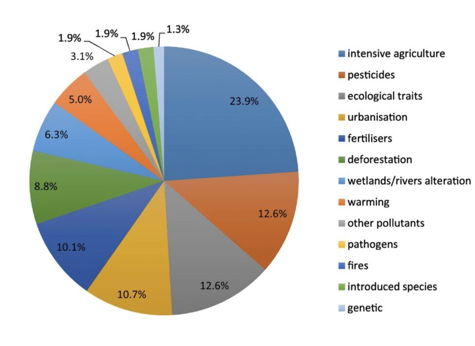 Bee Apocalypse Graph