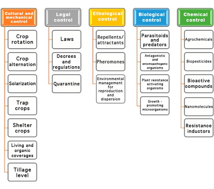 IPM4