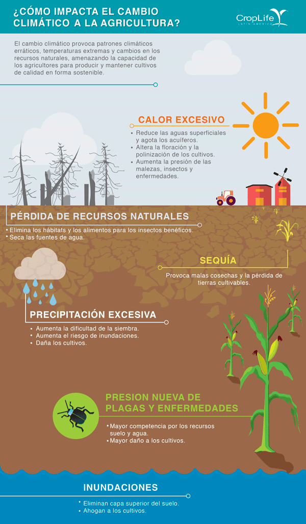 Impacto Climatico Y Agricultura