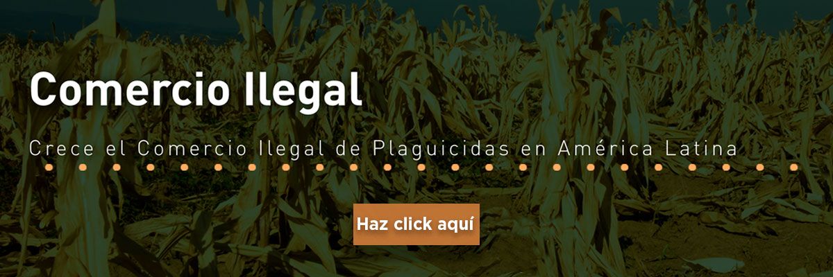 Comercio Ilegal