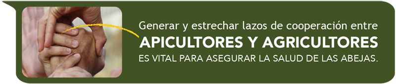 Lazos-De-Cooperacion-Apicultores-Agricultores